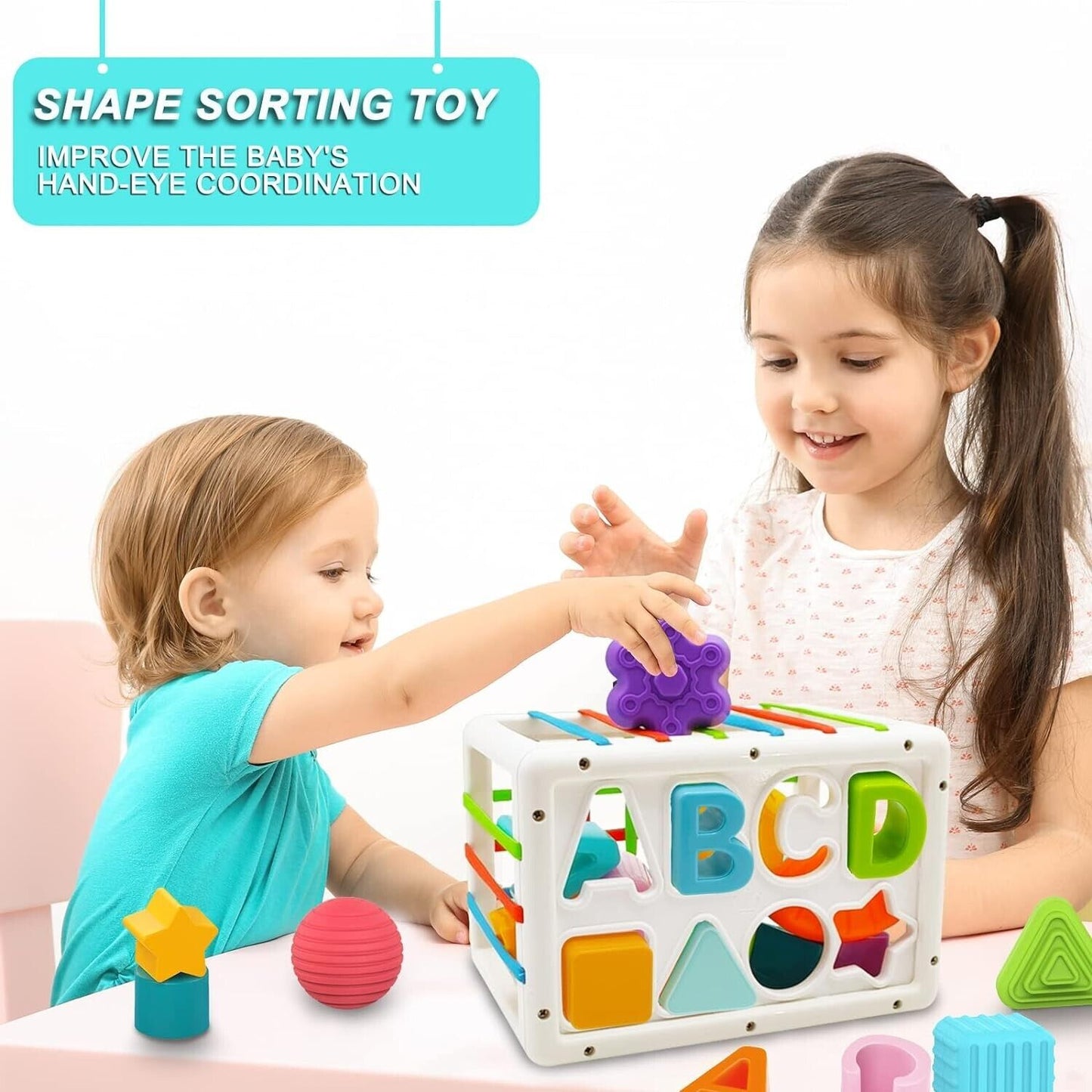 Shape Sorting Baby Toy (18 months +)
