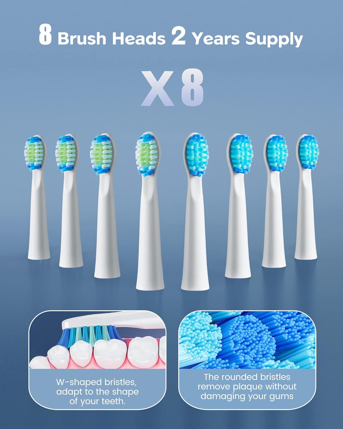 Bitvae D2 Ultrasonic Electric Toothbrush with 8 Brush Heads