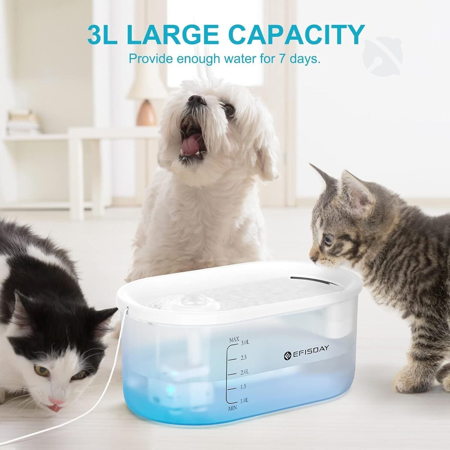 Automatic pet water fountain with 3L capacity for seven days of hydration for dogs and cats