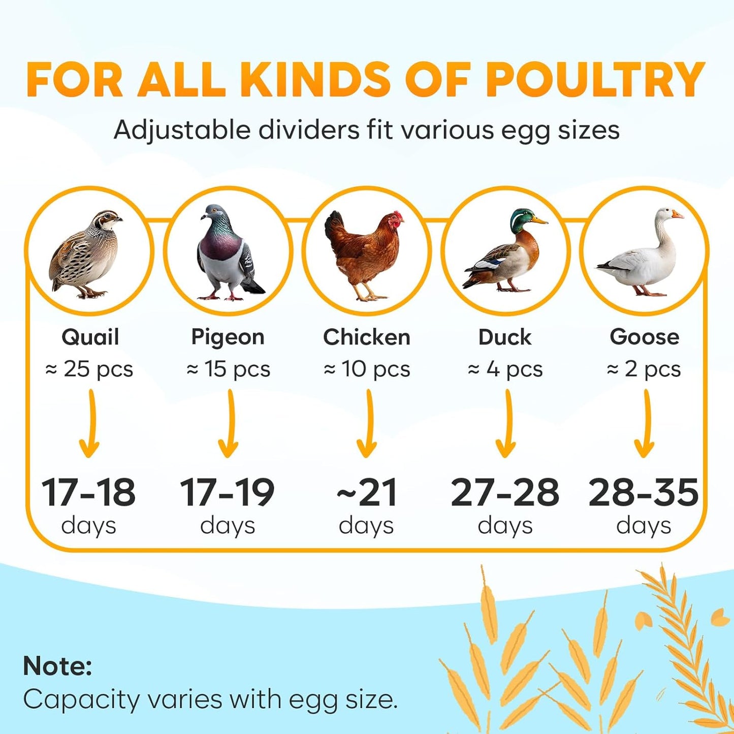 Okkobi egg incubator with automatic turning featuring adjustable dividers for various egg sizes