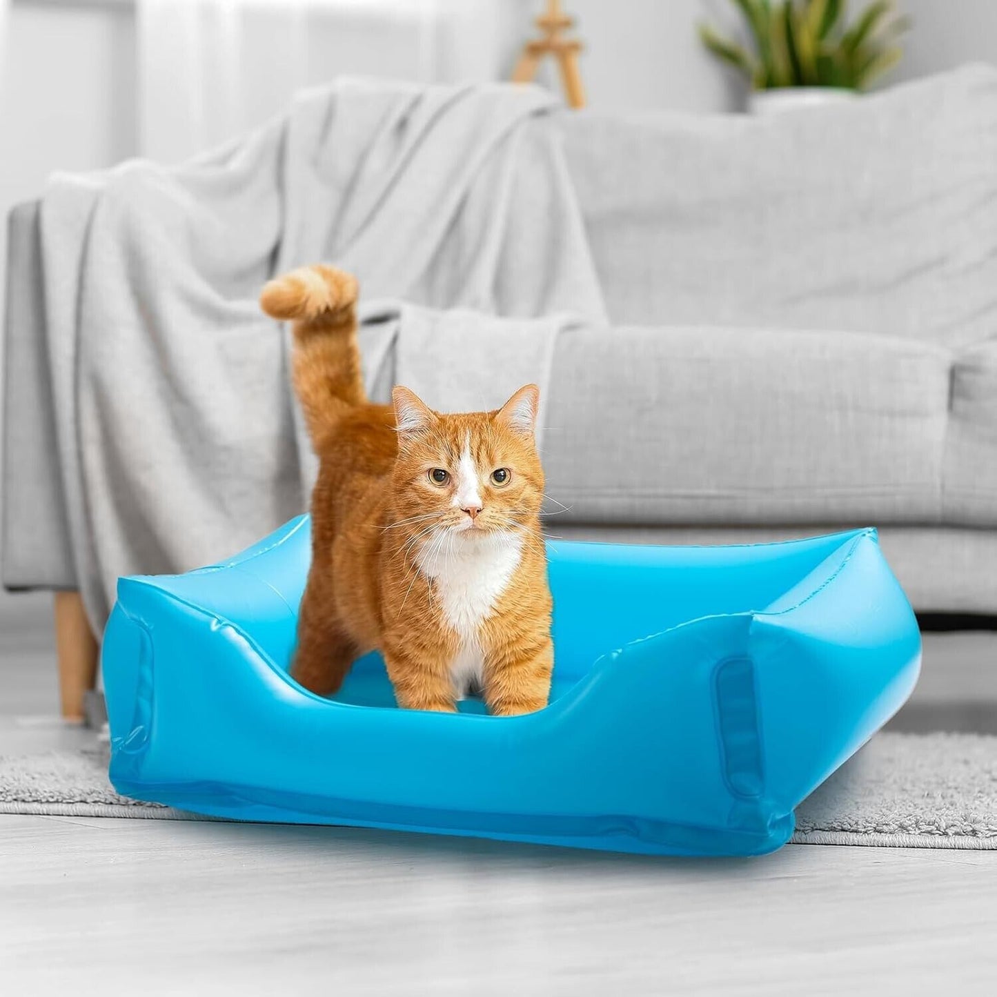 Foldable cat paddling pool in blue for indoor play, featuring a cat enjoying the spacious design
