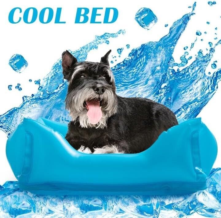 Foldable cat paddling pool in blue with a dog cooling down, perfect for summer fun