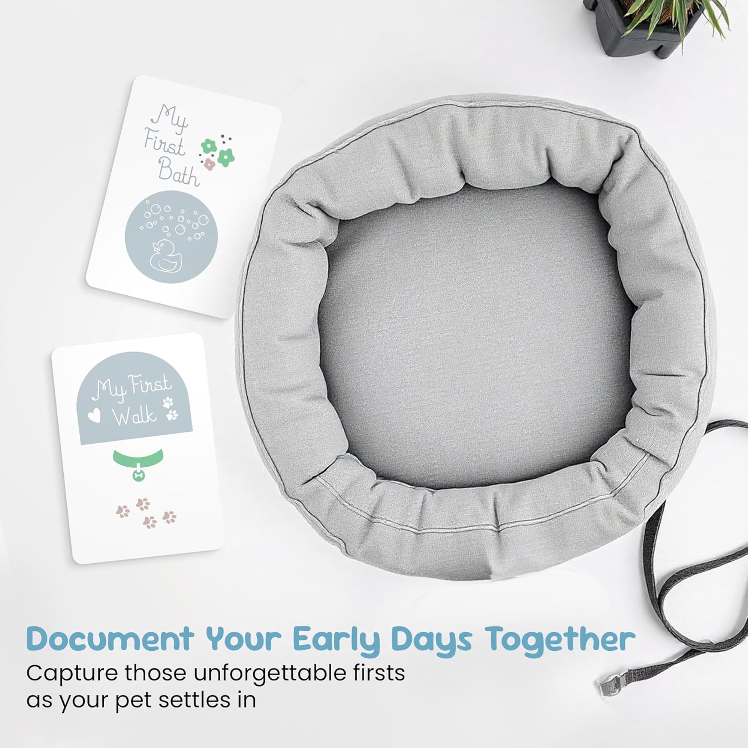 Forever Fun Times pet memory book with milestone cards My First Bath and My First Walk next to a gray pet bed