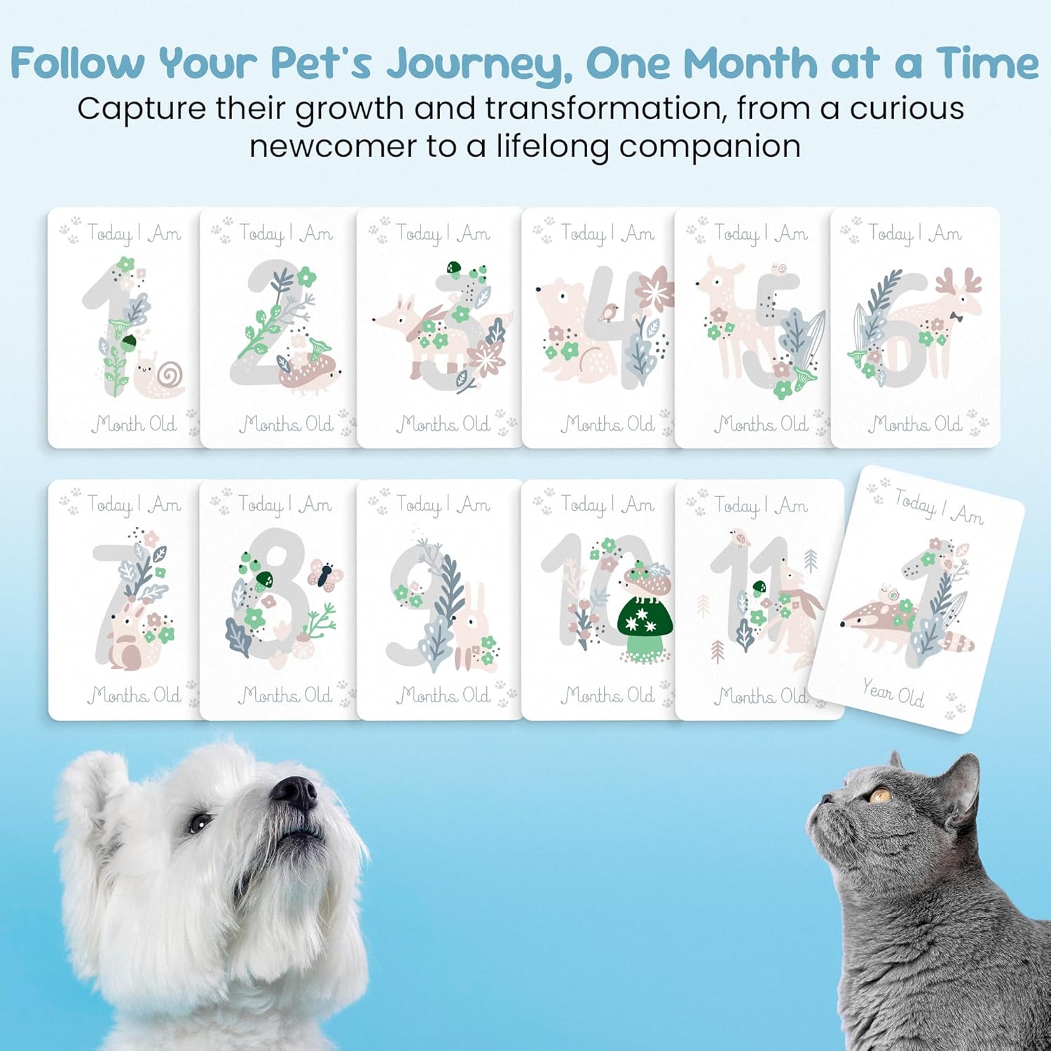 Forever Fun Times pet milestone cards set for capturing monthly growth of dogs and cats from one month to one year old
