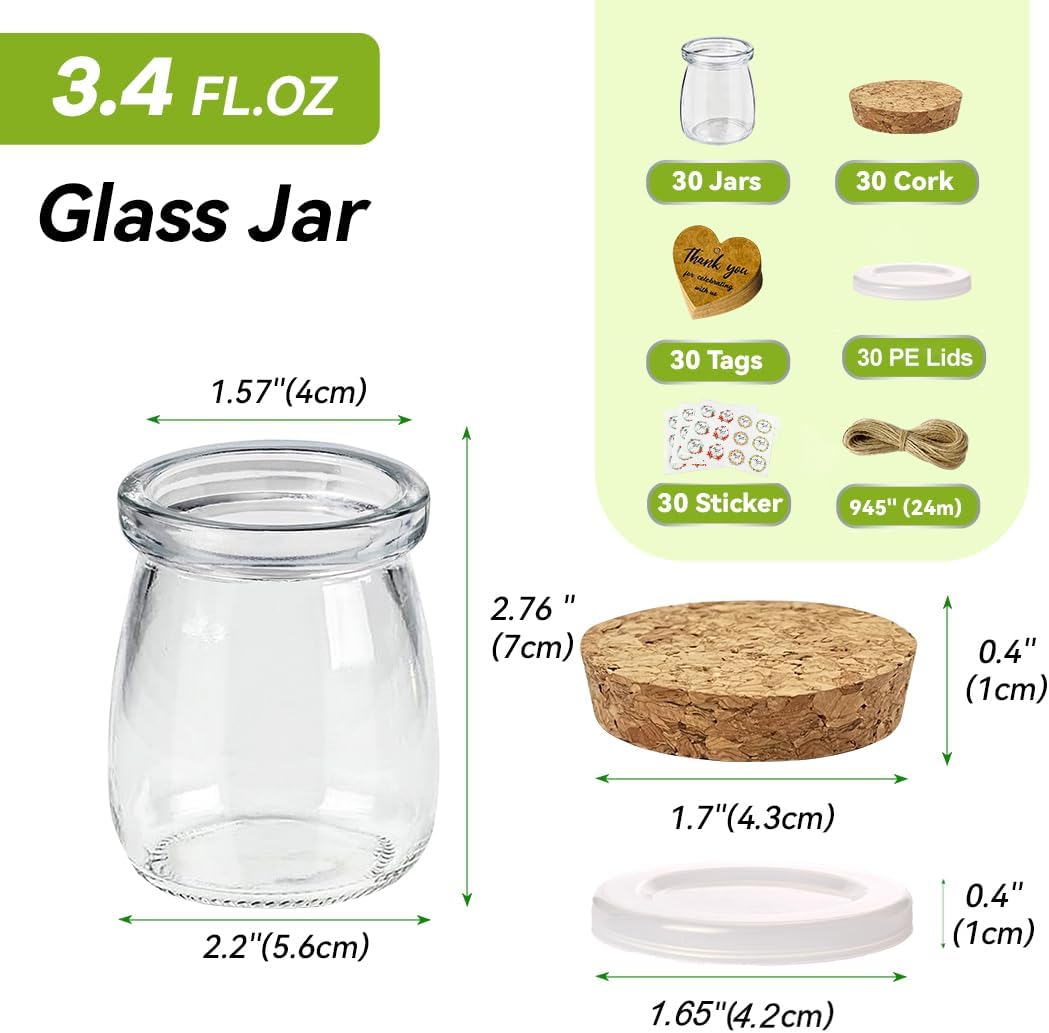 AIXIANG 3.4 FL OZ Glass Jar with Cork Lid and PE Lid for Home Storage and Organizing