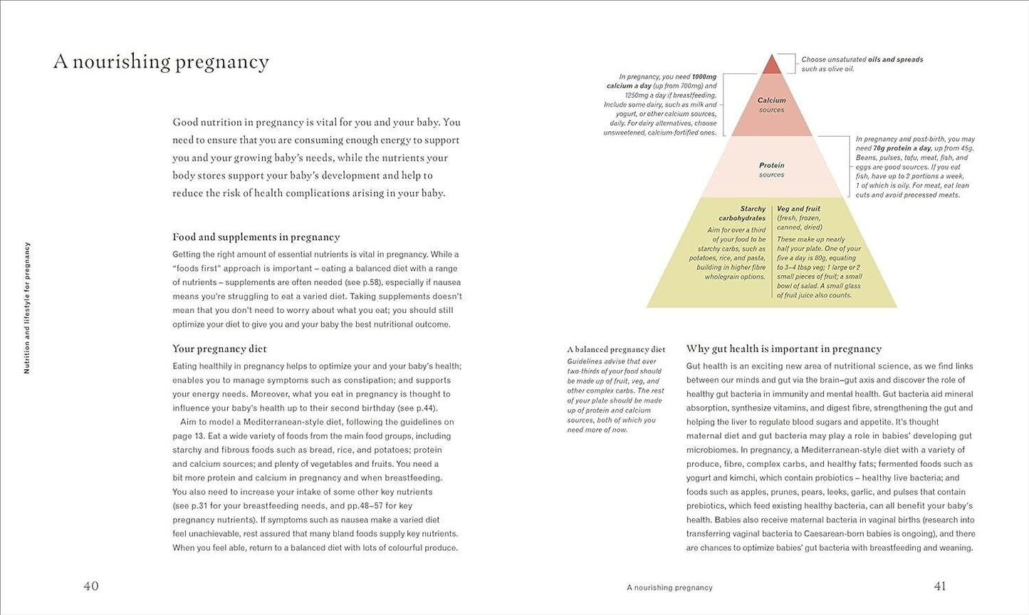 DK pregnancy nutrition book pages featuring dietary information and food pyramid for expectant mothers