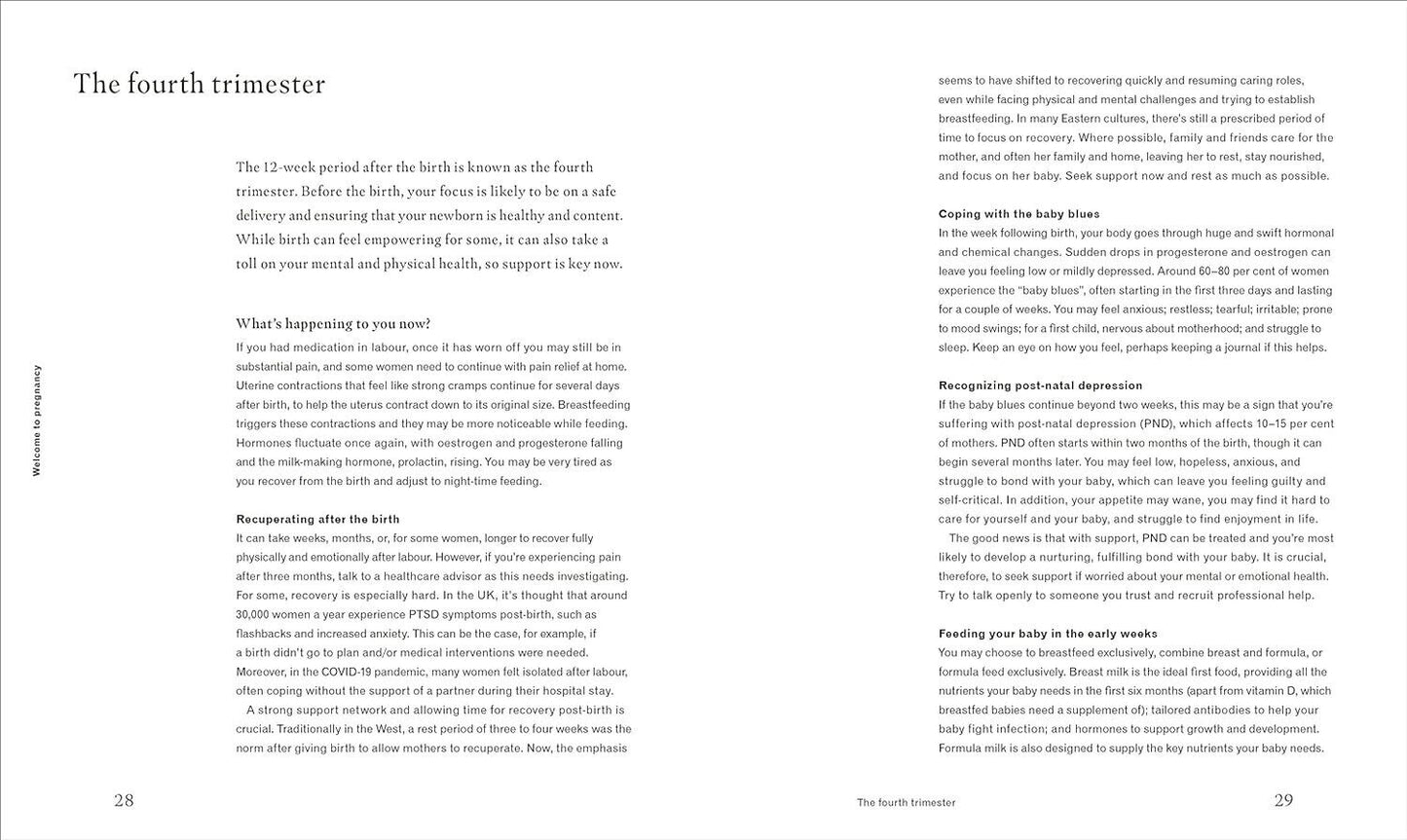 DK pregnancy nutrition book pages detailing the fourth trimester and maternal health tips