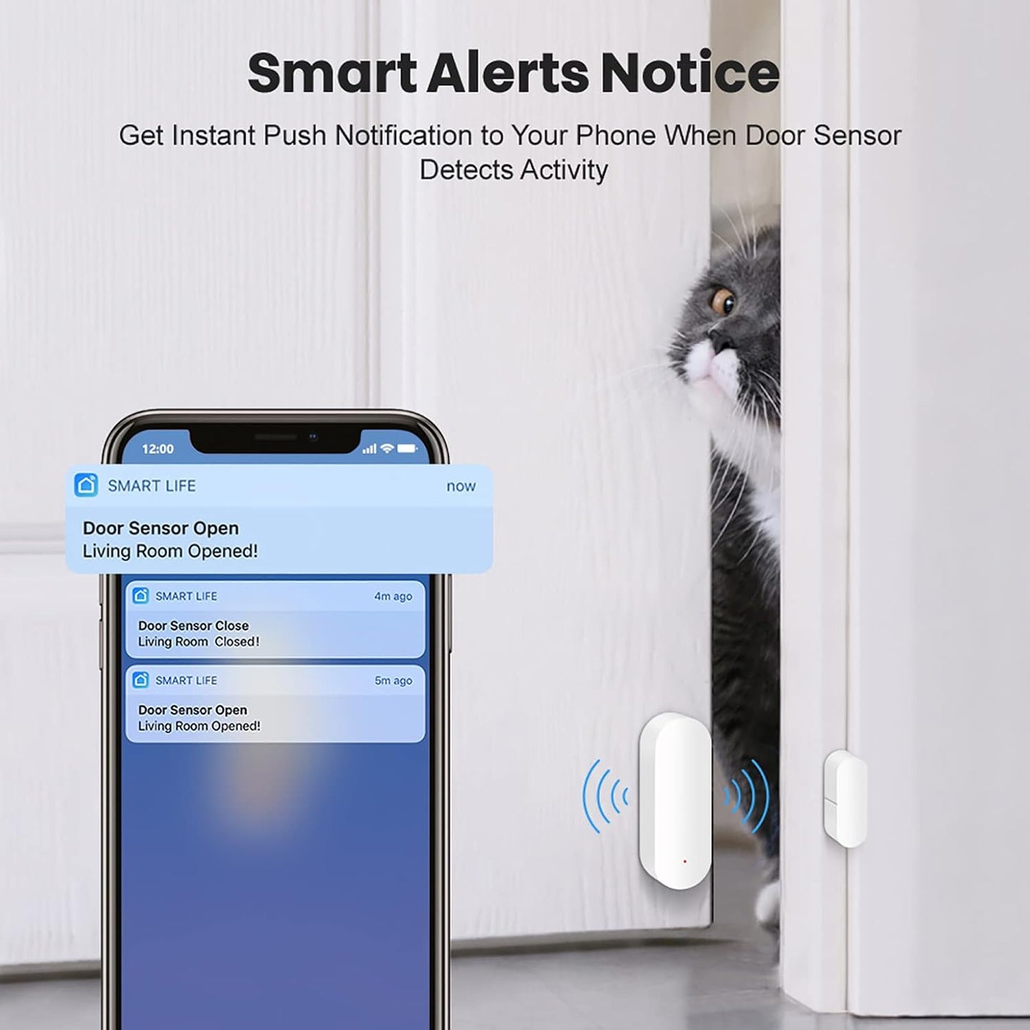 Risoon smart door window sensor with smartphone notifications for enhanced home security