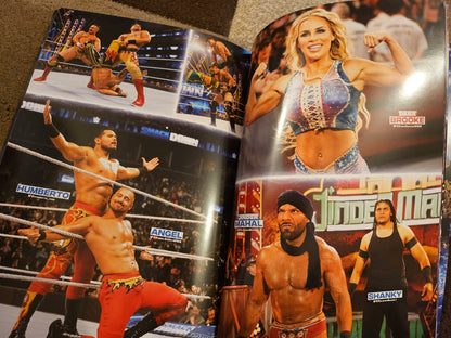 WWE Clash At The Castle 2022 Official Programme