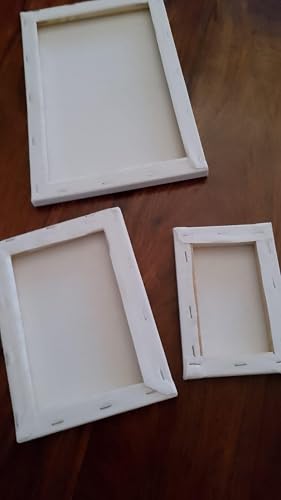 Koncci 3 Pack Stretched Canvas for Painting, (30x20 20x15 15x10cm) Framed Blank Canvas Set, Acid-Free/Cotton/280 GSM/Triple Primed Canvases for Acrylic, Oil Paint & Wet Art Media Artwork School