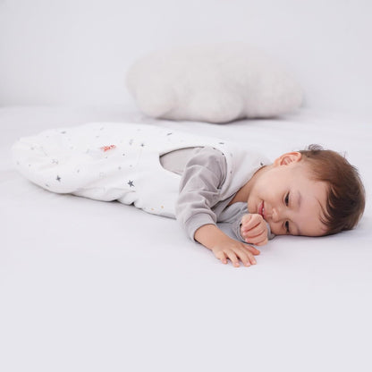 LAT Baby Sleeping Bag Winter 2 Pack (Tog 2.5, Bear Star Design, 3-6 Months)