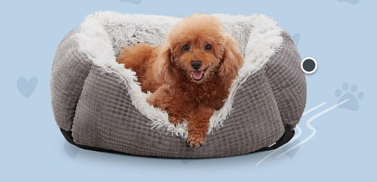 Furtime 25 Inch Dog Bed