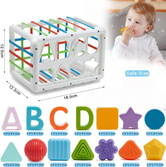 Shape Sorting Baby Toy (18 months +)