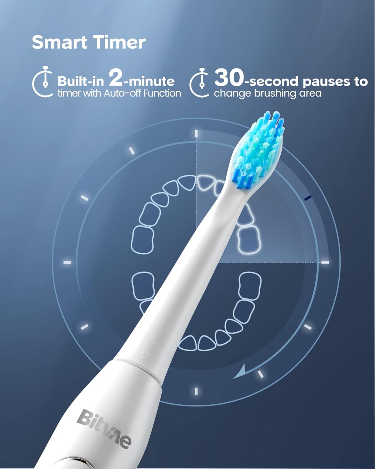 Bitvae D2 Ultrasonic Electric Toothbrush with 8 Brush Heads