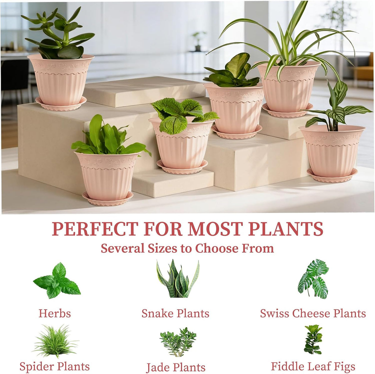 6 Pack 16.5cm Plant Pots, Plastic Planters with Drainage Holes and Saucers, Decorative Embossed Flower Pots for Indoor Outdoor House Plants Succulent Orchid Cactus Herb (Pink)
