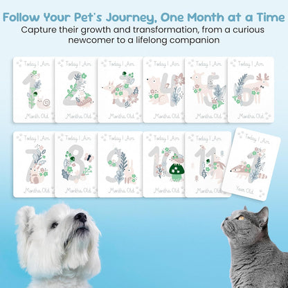 Pet Milestone Cards