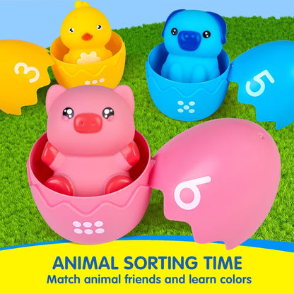 Quanquer Animal Sorting Educational Toy with Colourful Eggs and Matching Animals for Learning