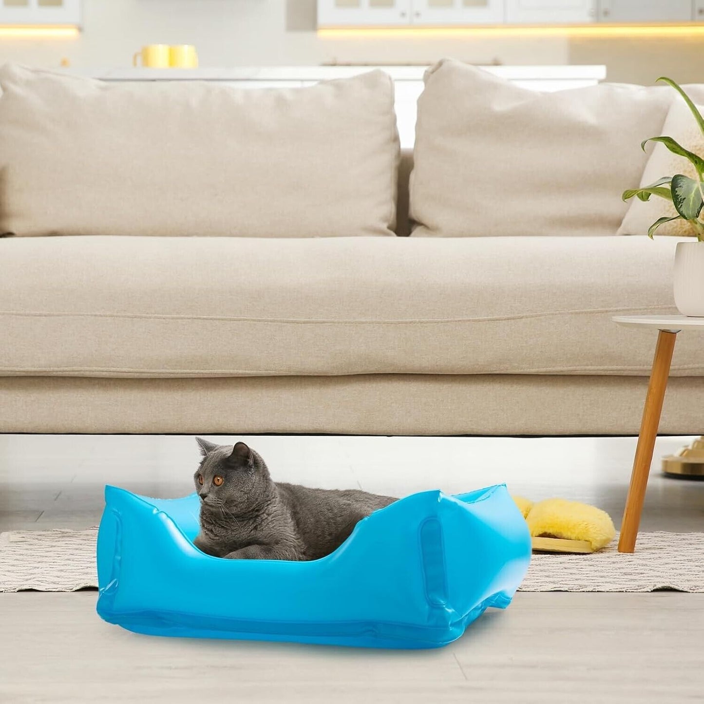 Foldable cat paddling pool in bright blue with a relaxed cat inside, perfect for summer fun