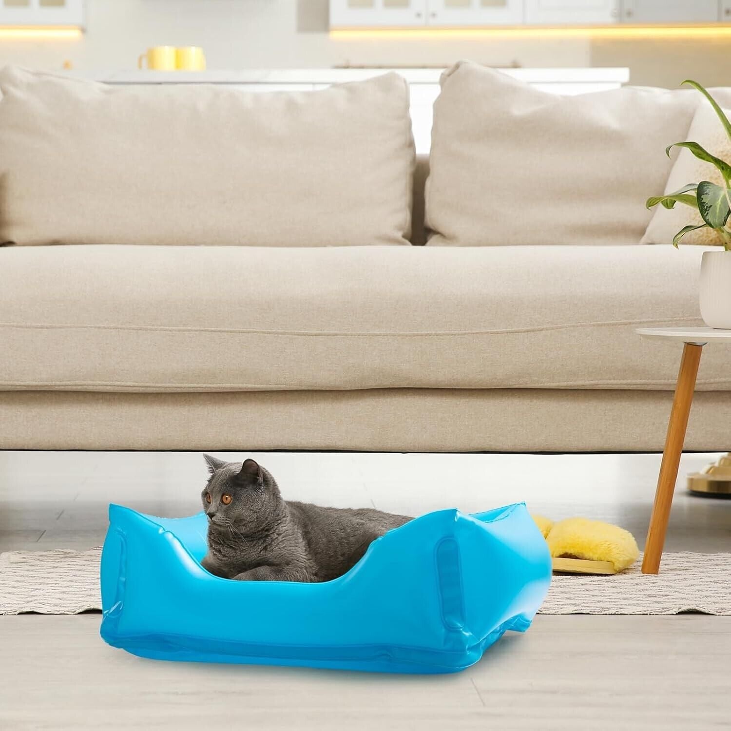 Foldable cat paddling pool in bright blue with a relaxed cat inside, perfect for summer fun