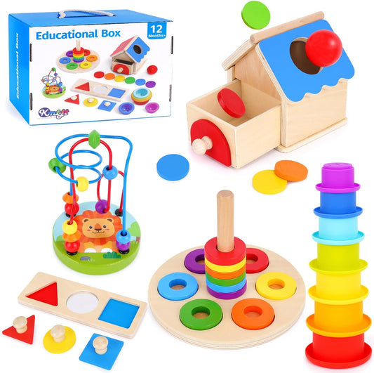 Montessori educational toys set including building blocks, shape sorter, and stacking rings for child development