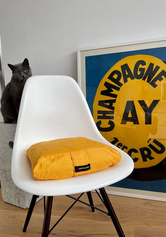 My Little Buddha organic cotton booster seat in yellow on a white chair with a cat in the background