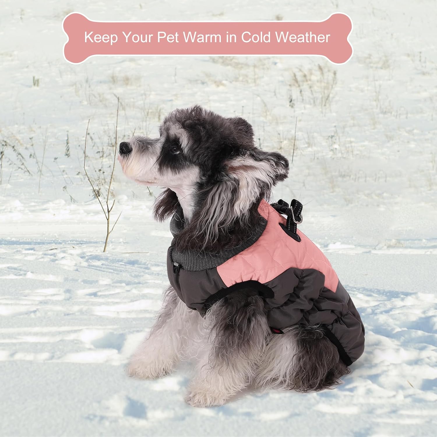 Savlot warm dog winter jacket in pink and black, perfect for keeping pets warm in cold weather