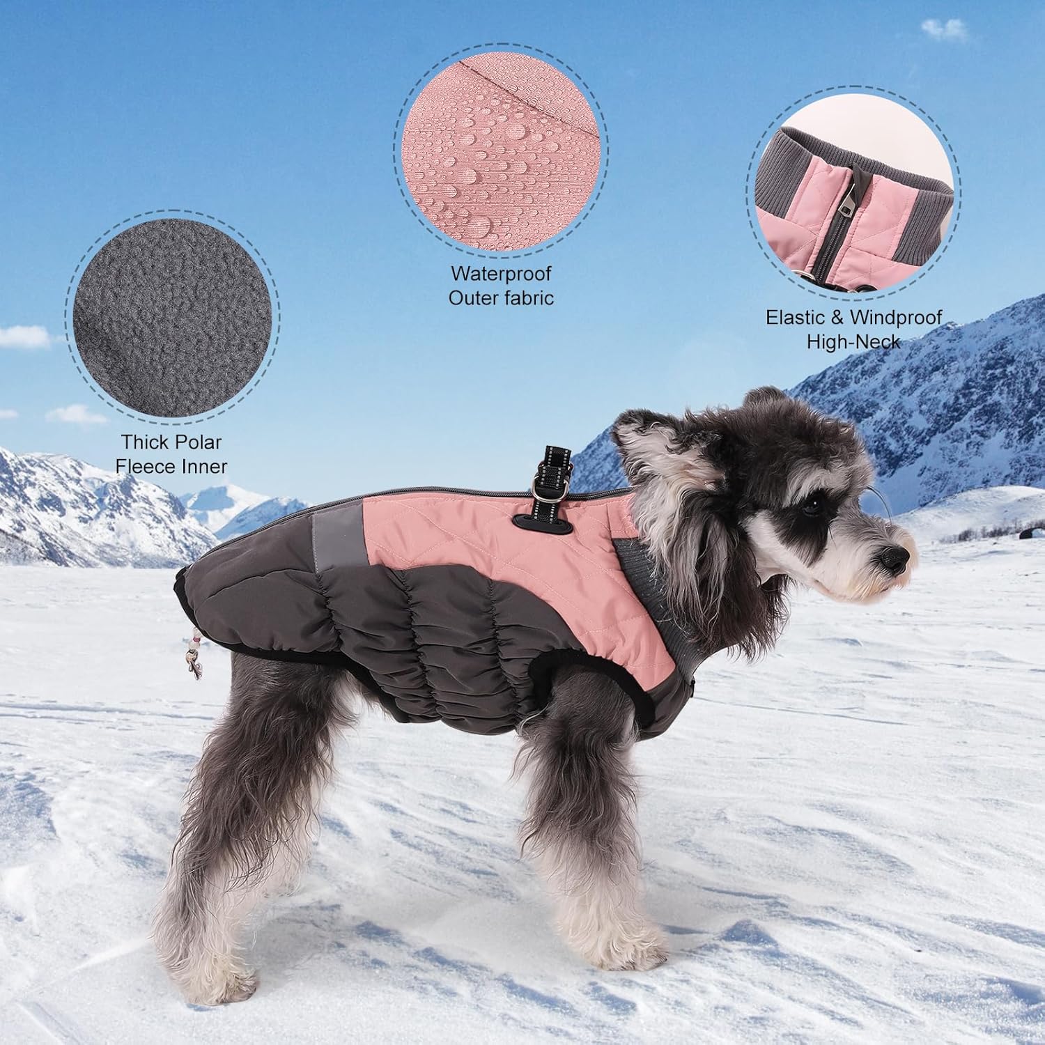 Warm dog winter jacket in pink and black with fleece inner and waterproof outer for cold weather protection