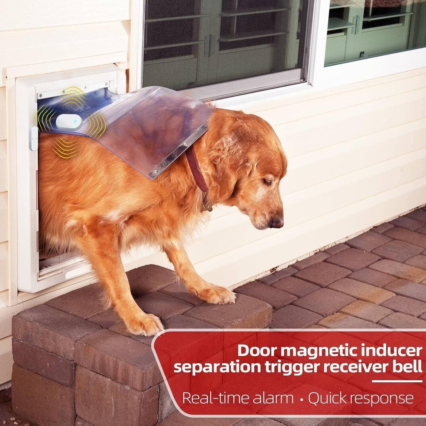 Wireless door alarm sensor with a dog using a pet door, providing real-time alerts for home security