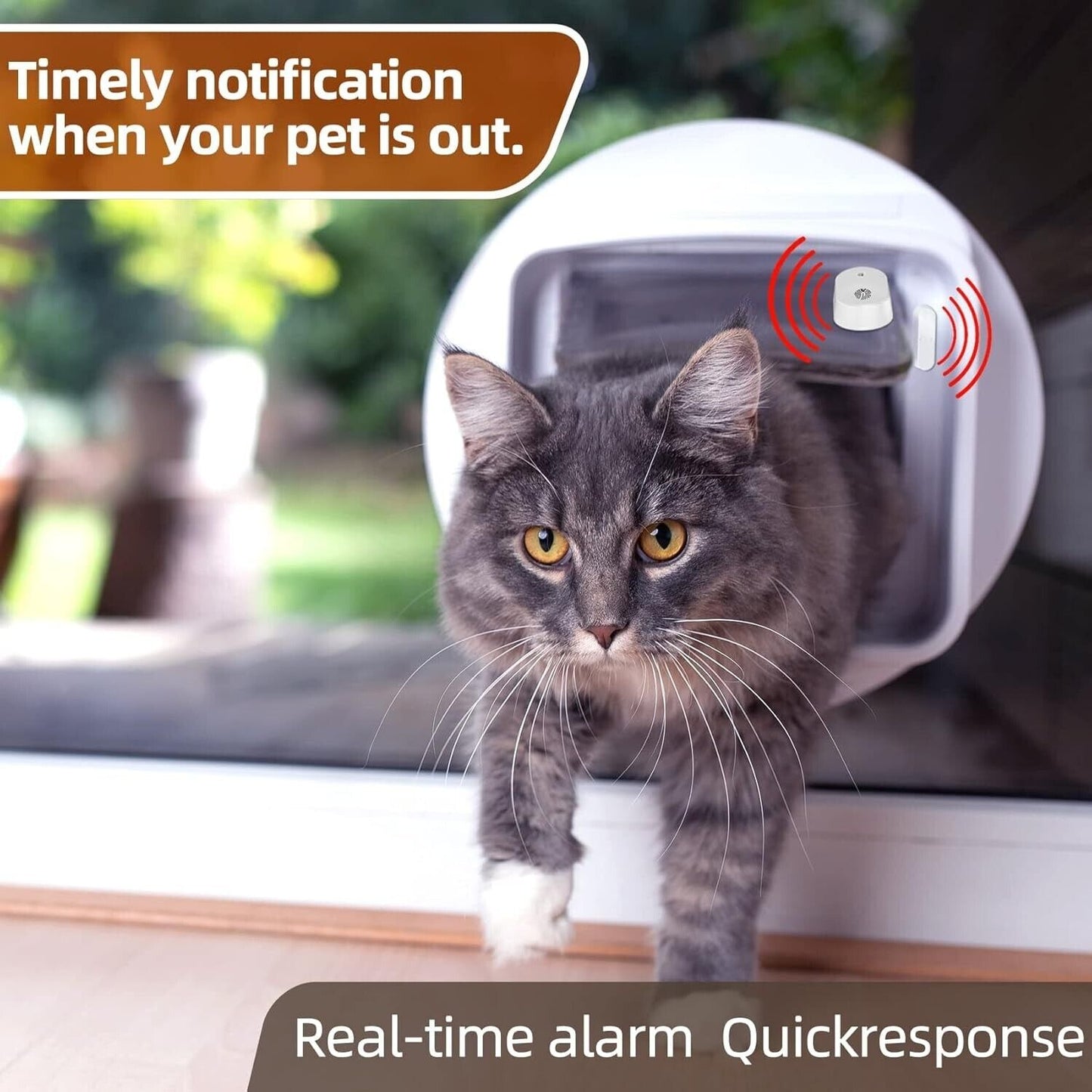 Wireless door alarm sensor for pets providing timely notifications when your pet is out